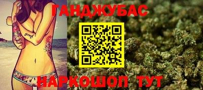 шишки Бийск