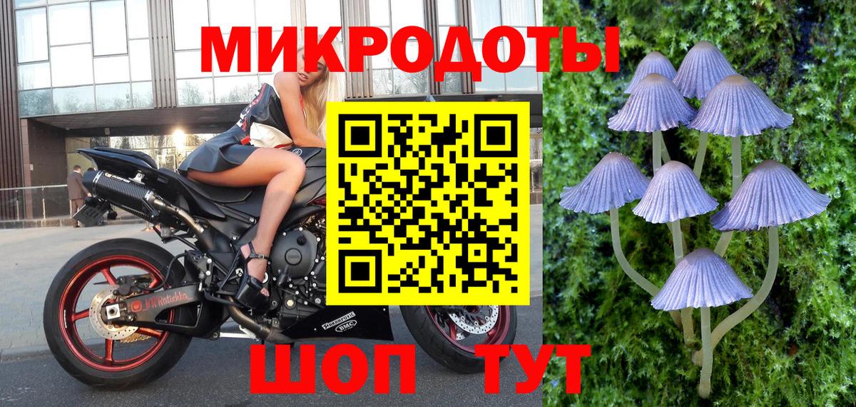 Галлюциногенные грибы Cubensis  Вход с VPN  Псилоцибиновые грибы GOLDEN TEACHER  Спасск-Дальний 